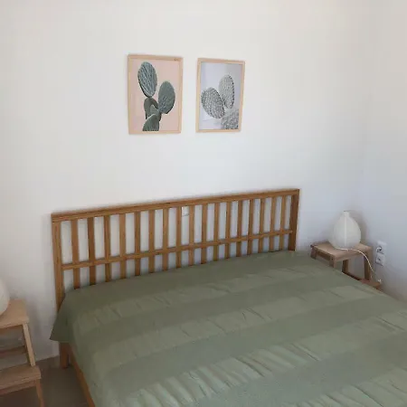 Cactus *